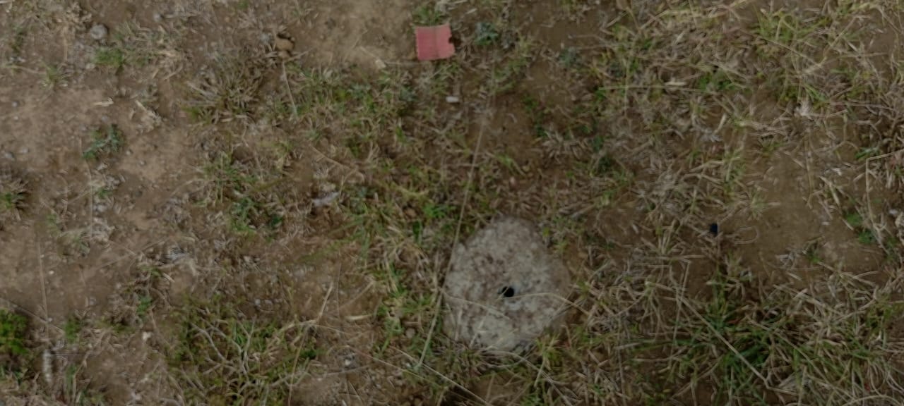 plots for sale in Narok – Kichinjio plot view